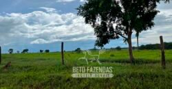 Fazenda de Soja E Pecuária à Venda 1.510 Has Alto Padrão no Agronegócio | Itarumã/ GO