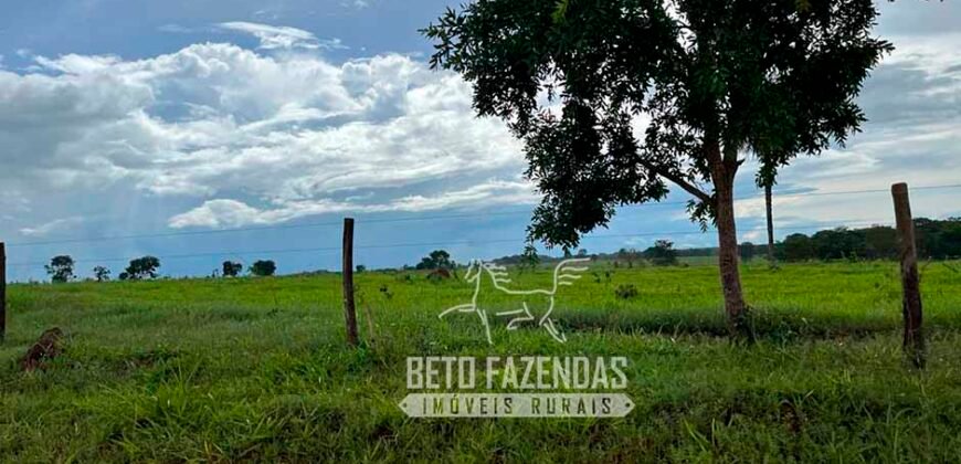 Fazenda de Soja E Pecuária à Venda 1.510 Has Alto Padrão no Agronegócio | Itarumã/ GO