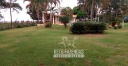 Fazenda de Soja E Pecuária à Venda 1.510 Has Alto Padrão no Agronegócio | Itarumã/ GO