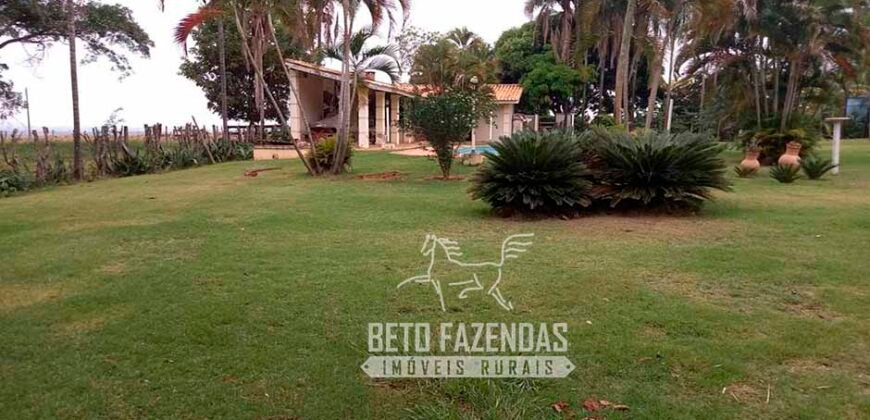 Fazenda de Soja E Pecuária à Venda 1.510 Has Alto Padrão no Agronegócio | Itarumã/ GO