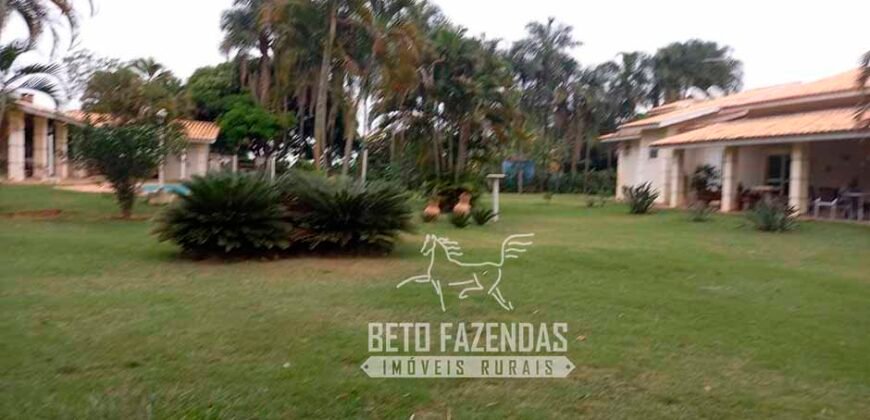 Fazenda de Soja E Pecuária à Venda 1.510 Has Alto Padrão no Agronegócio | Itarumã/ GO