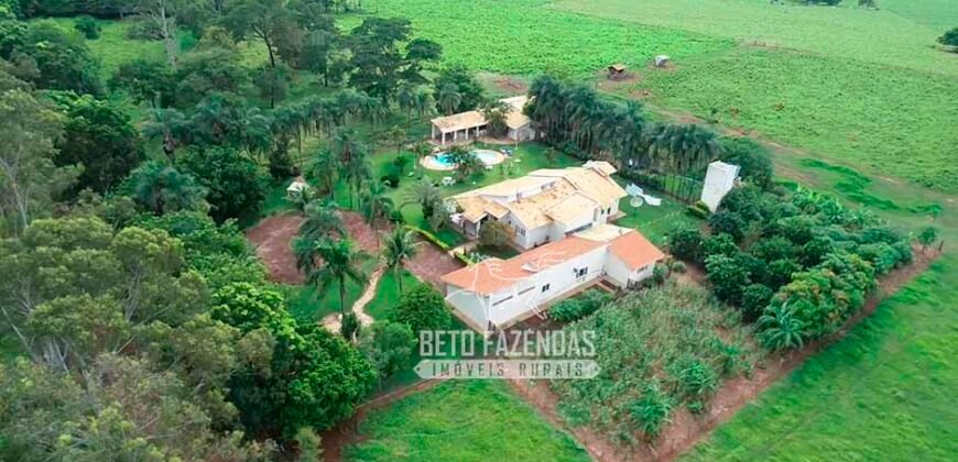 Fazenda de Soja E Pecuária à Venda 1.510 Has Alto Padrão no Agronegócio | Itarumã/ GO
