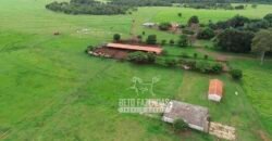 Fazenda de Soja E Pecuária à Venda 1.510 Has Alto Padrão no Agronegócio | Itarumã/ GO