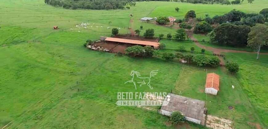 Fazenda de Soja E Pecuária à Venda 1.510 Has Alto Padrão no Agronegócio | Itarumã/ GO