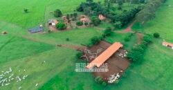 Fazenda de Soja E Pecuária à Venda 1.510 Has Alto Padrão no Agronegócio | Itarumã/ GO