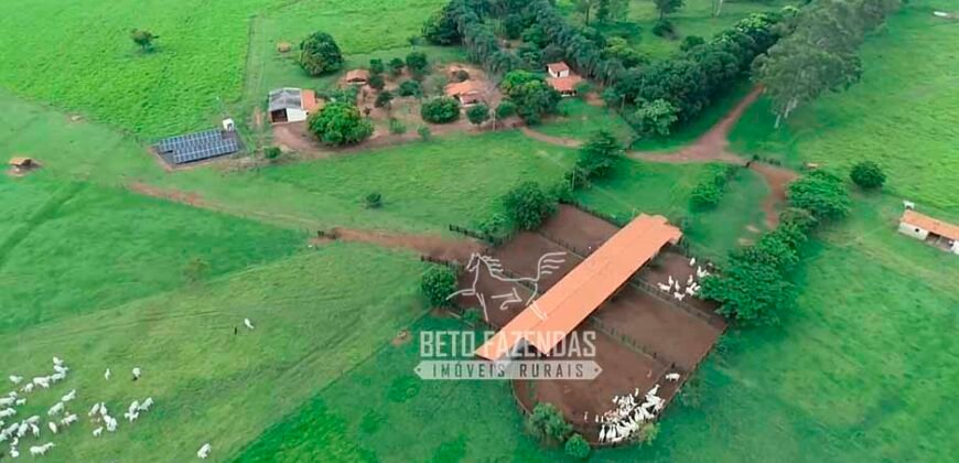 Fazenda de Soja E Pecuária à Venda 1.510 Has Alto Padrão no Agronegócio | Itarumã/ GO