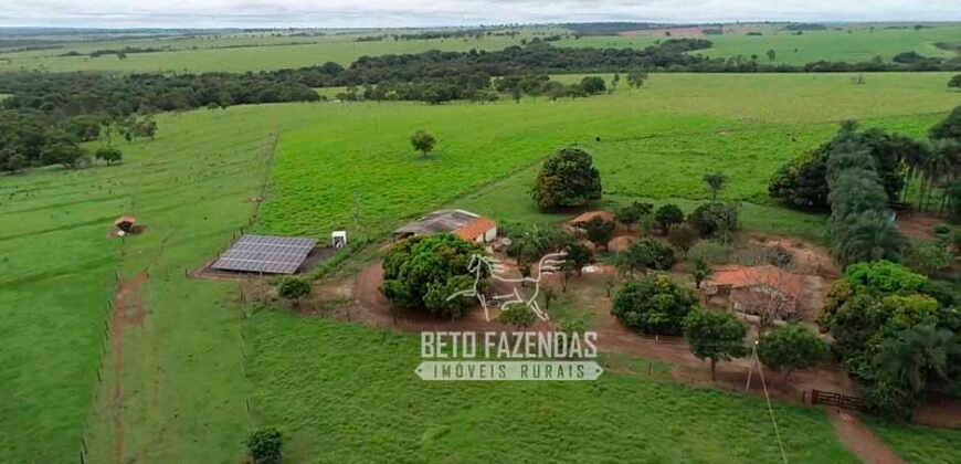 Fazenda de Soja E Pecuária à Venda 1.510 Has Alto Padrão no Agronegócio | Itarumã/ GO