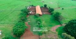 Fazenda de Soja E Pecuária à Venda 1.510 Has Alto Padrão no Agronegócio | Itarumã/ GO
