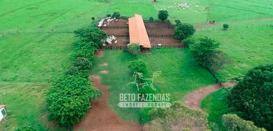 Fazenda de Soja E Pecuária à Venda 1.510 Has Alto Padrão no Agronegócio | Itarumã/ GO