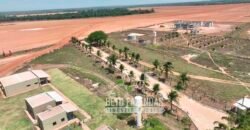 Fazenda à Venda 3.200 Has Dupla Aptidão no MATOPIBA | Miranorte / TO