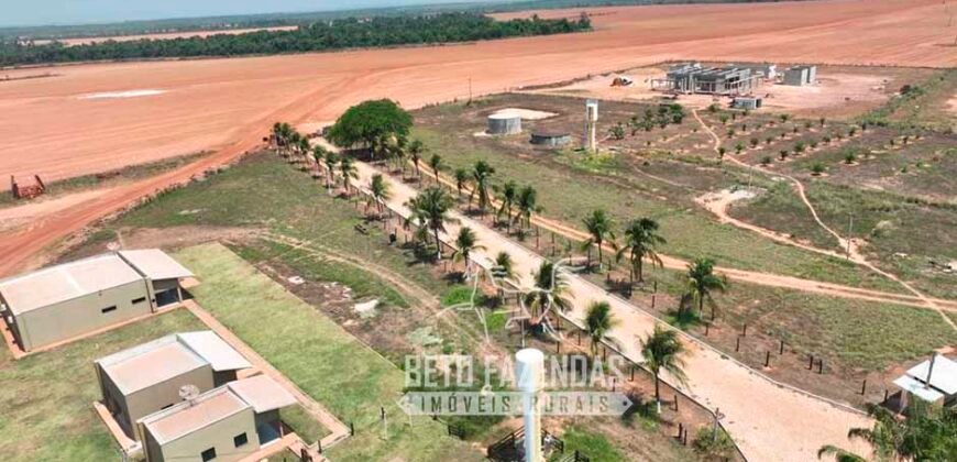 Fazenda à Venda 3.200 Has Dupla Aptidão no MATOPIBA | Miranorte / TO