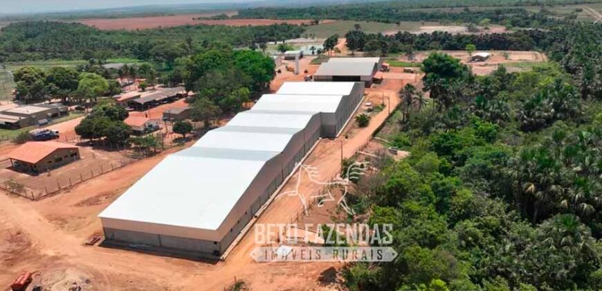 Fazenda à Venda 3.200 Has Dupla Aptidão no MATOPIBA | Miranorte / TO