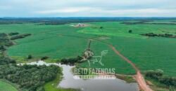 Fazenda à Venda 3.200 Has Dupla Aptidão no MATOPIBA | Miranorte / TO