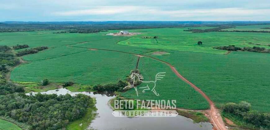 Fazenda à Venda 3.200 Has Dupla Aptidão no MATOPIBA | Miranorte / TO
