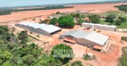 Fazenda à Venda 3.200 Has Dupla Aptidão no MATOPIBA | Miranorte / TO