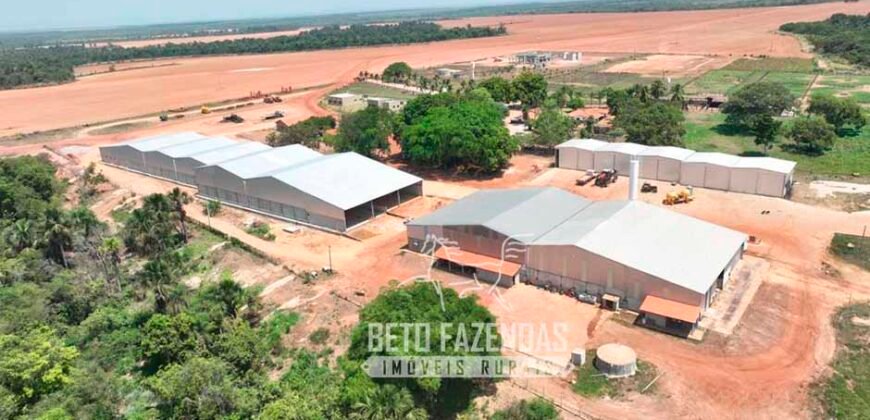 Fazenda à Venda 3.200 Has Dupla Aptidão no MATOPIBA | Miranorte / TO