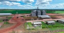 Fazenda à Venda 3.200 Has Dupla Aptidão no MATOPIBA | Miranorte / TO