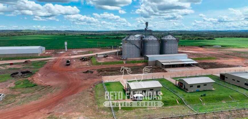 Fazenda à Venda 3.200 Has Dupla Aptidão no MATOPIBA | Miranorte / TO