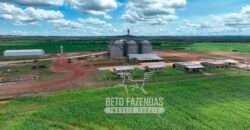 Fazenda à Venda 3.200 Has Dupla Aptidão no MATOPIBA | Miranorte / TO