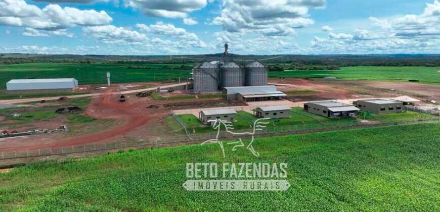 Fazenda à Venda 3.200 Has Dupla Aptidão no MATOPIBA | Miranorte / TO