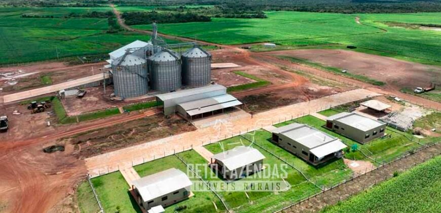 Fazenda à Venda 3.200 Has Dupla Aptidão no MATOPIBA | Miranorte / TO