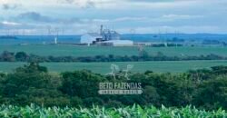 Fazenda à Venda 3.200 Has Dupla Aptidão no MATOPIBA | Miranorte / TO