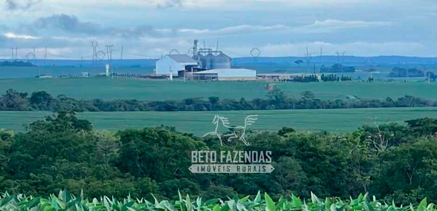 Fazenda à Venda 3.200 Has Dupla Aptidão no MATOPIBA | Miranorte / TO