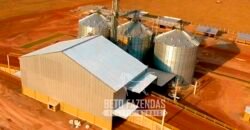 Fazenda à Venda 3.200 Has Dupla Aptidão no MATOPIBA | Miranorte / TO