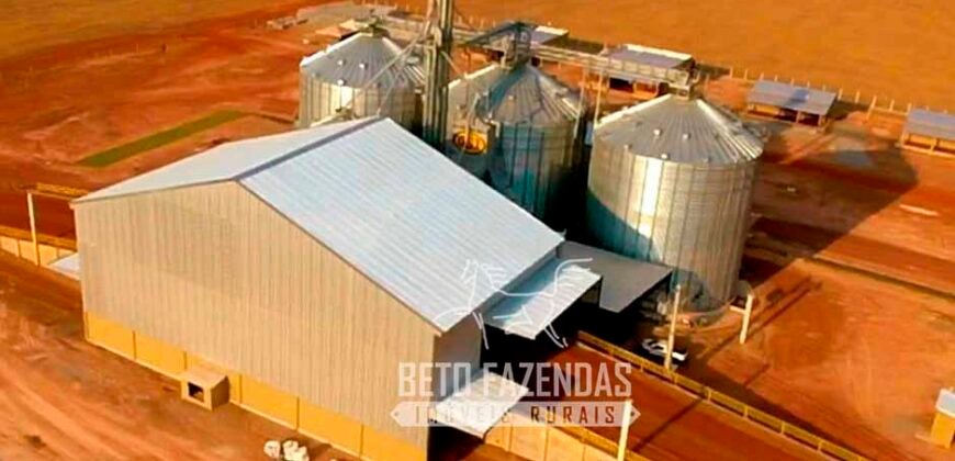 Fazenda à Venda 3.200 Has Dupla Aptidão no MATOPIBA | Miranorte / TO