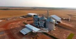 Fazenda à Venda 3.200 Has Dupla Aptidão no MATOPIBA | Miranorte / TO