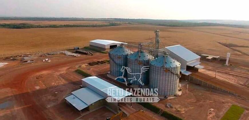 Fazenda à Venda 3.200 Has Dupla Aptidão no MATOPIBA | Miranorte / TO