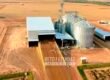 Fazenda à Venda 3.200 Has Dupla Aptidão no MATOPIBA | Miranorte / TO