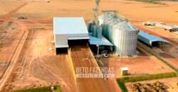 Fazenda à Venda 3.200 Has Dupla Aptidão no MATOPIBA | Miranorte / TO