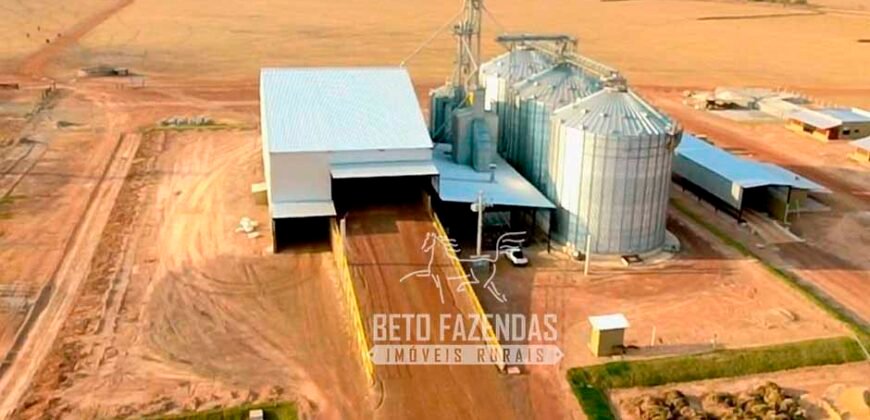 Fazenda à Venda 3.200 Has Dupla Aptidão no MATOPIBA | Miranorte / TO
