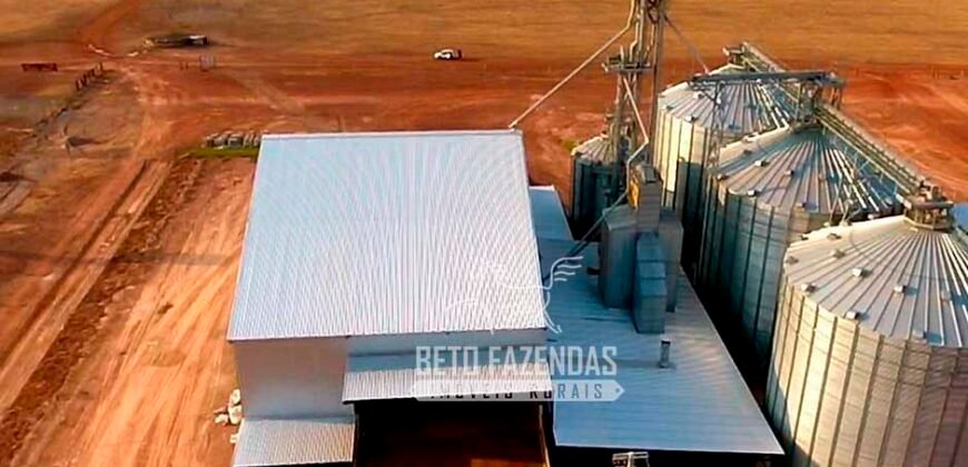 Fazenda à Venda 3.200 Has Dupla Aptidão no MATOPIBA | Miranorte / TO