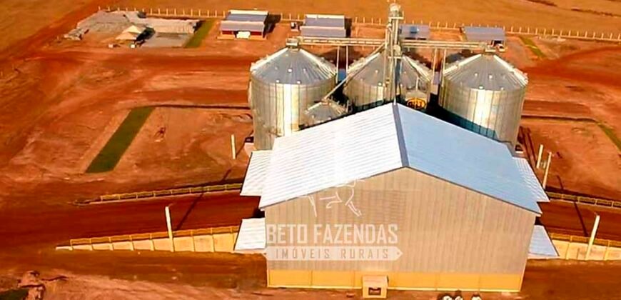 Fazenda à Venda 3.200 Has Dupla Aptidão no MATOPIBA | Miranorte / TO