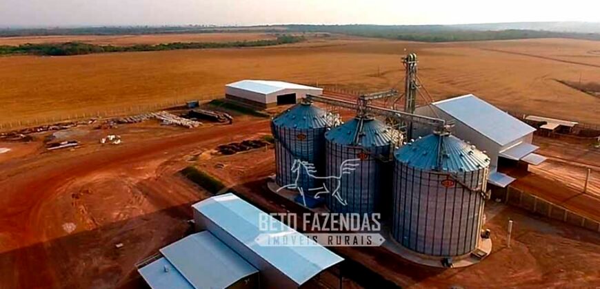 Fazenda à Venda 3.200 Has Dupla Aptidão no MATOPIBA | Miranorte / TO