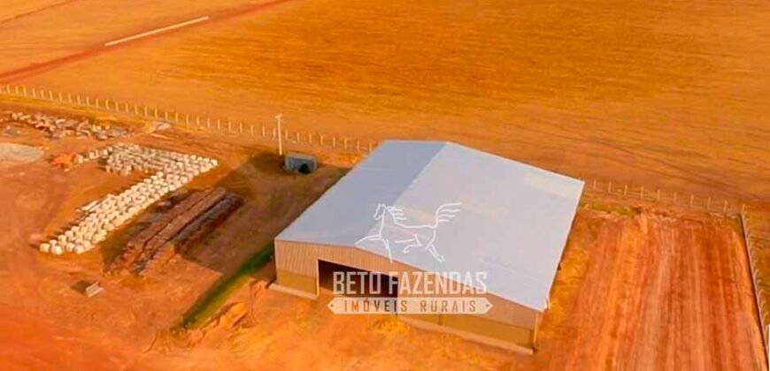 Fazenda à Venda 3.200 Has Dupla Aptidão no MATOPIBA | Miranorte / TO