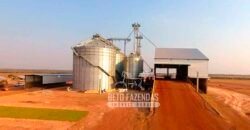 Fazenda à Venda 3.200 Has Dupla Aptidão no MATOPIBA | Miranorte / TO