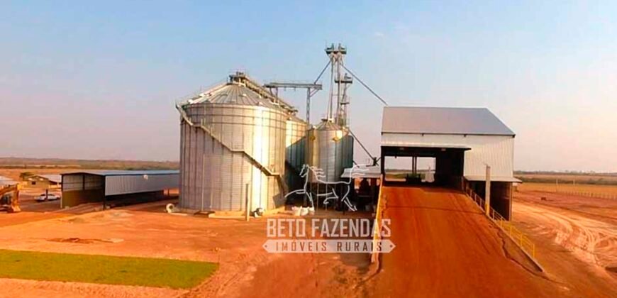 Fazenda à Venda 3.200 Has Dupla Aptidão no MATOPIBA | Miranorte / TO