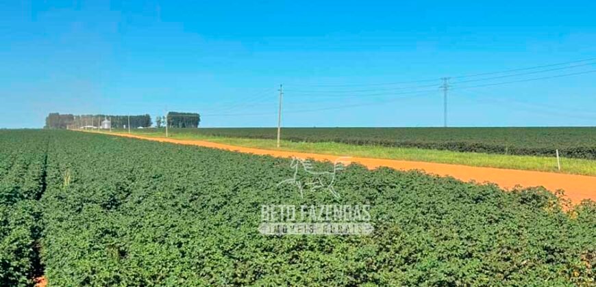 Fazenda com Dívida à Venda 10.240 has Infraestrutura Lavoura | Nova Maringá /MT
