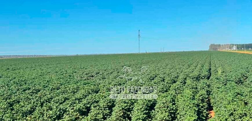 Fazenda com Dívida à Venda 10.240 has Infraestrutura Lavoura | Nova Maringá /MT