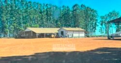 Fazenda com Dívida à Venda 10.240 has Infraestrutura Lavoura | Nova Maringá /MT
