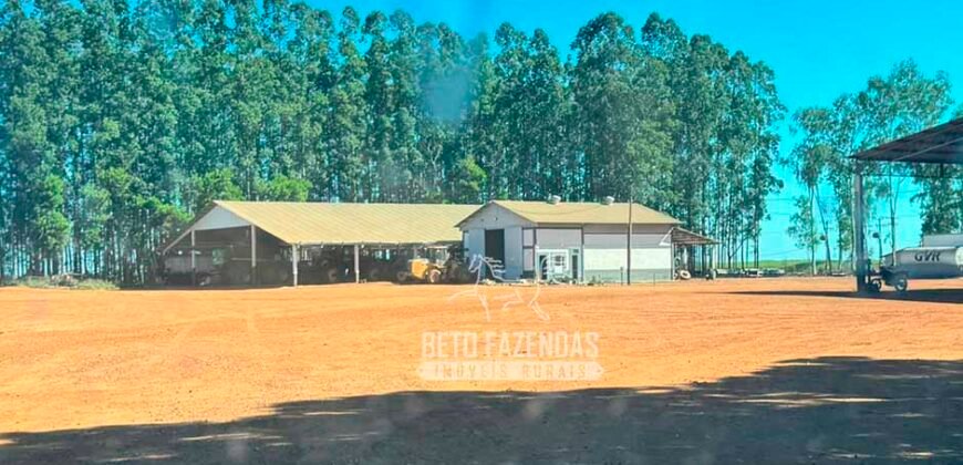 Fazenda com Dívida à Venda 10.240 has Infraestrutura Lavoura | Nova Maringá /MT