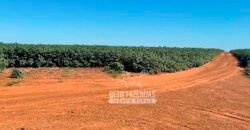 Fazenda com Dívida à Venda 10.240 has Infraestrutura Lavoura | Nova Maringá /MT
