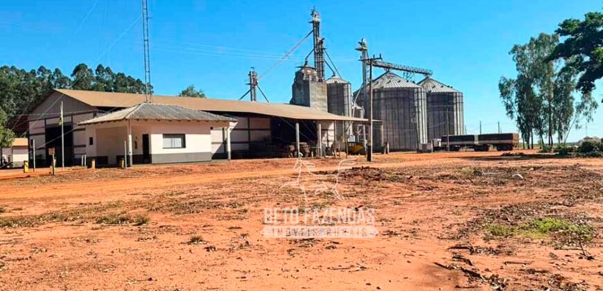 Fazenda com Dívida à Venda 10.240 has Infraestrutura Lavoura | Nova Maringá /MT