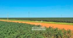 Fazenda com Dívida à Venda 10.240 has Infraestrutura Lavoura | Nova Maringá /MT