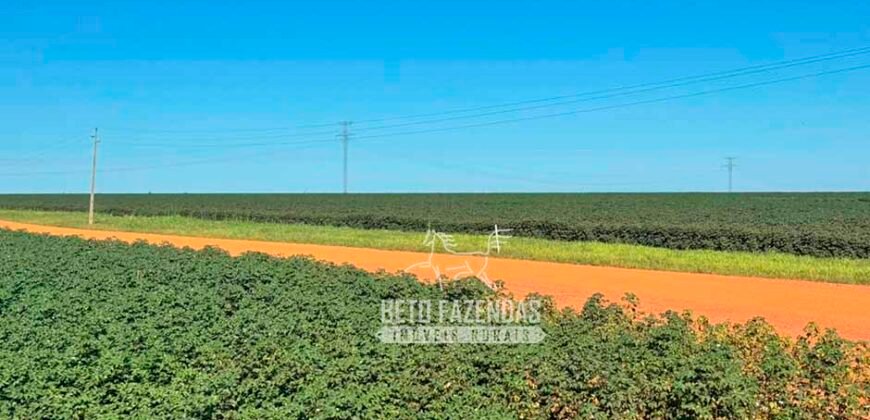 Fazenda com Dívida à Venda 10.240 has Infraestrutura Lavoura | Nova Maringá /MT