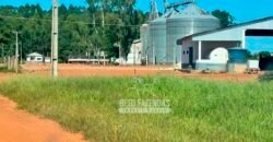 Fazenda com Dívida à Venda 10.240 has Infraestrutura Lavoura | Nova Maringá /MT
