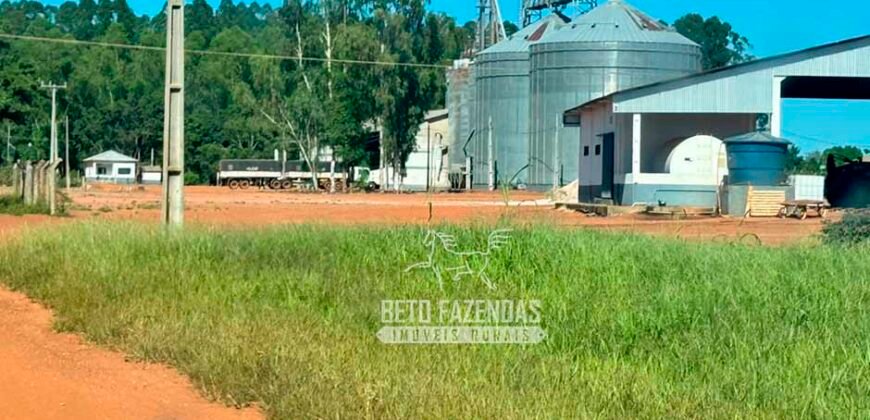 Fazenda com Dívida à Venda 10.240 has Infraestrutura Lavoura | Nova Maringá /MT